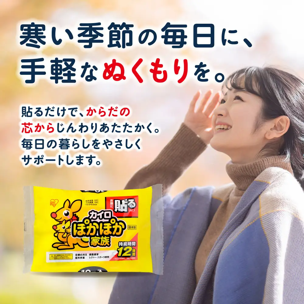 カイロ 240枚 ぽかぽか家族 貼るレギュラー 10枚×24袋 PKN-10HR
