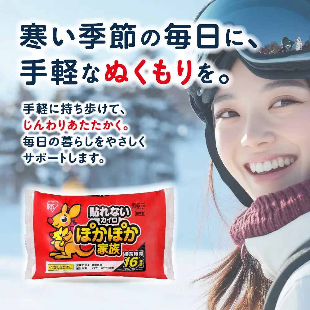 カイロ 240枚 ぽかぽか家族 レギュラー 60枚×4箱 PKN-60R