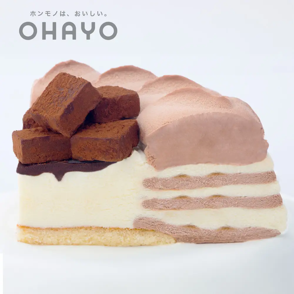 オハヨー乳業 生チョコアイスデコレーション 6号 17cm アイスケーキ ギフト