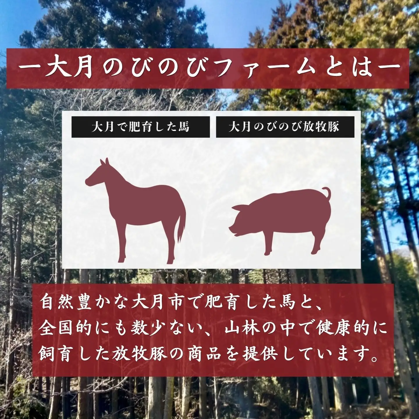 馬豚（バトン）ソーセージ 26本（馬肉70％・豚肉30％）