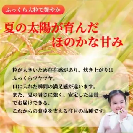 令和8年産米「なつほのか」10kg【2001194】