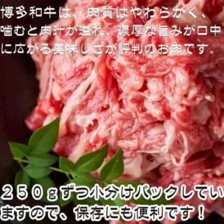 【訳あり】【A4～A5ランク】博多和牛 切り落とし 500g(250g×2)(大牟田市)【配送不可地域：離島】【2000462】