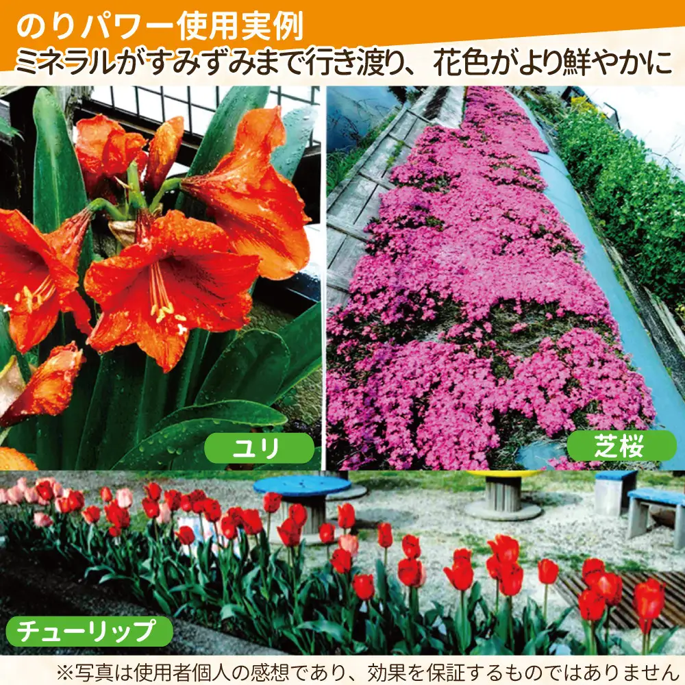液体肥料　のりパワー200ml