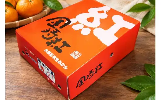 香川県産 金時紅みかん 約2.5㎏化粧箱　21－30玉_Z2600569
