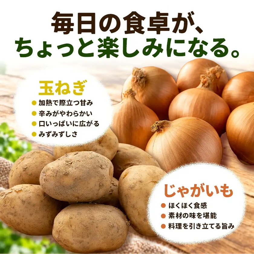 野菜 北海道野菜 じゃがいも 3kg 玉ねぎ 7kg 計10kg B&T TRADING株式会社
