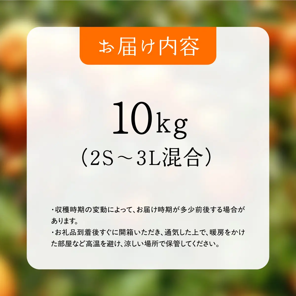 【先行受付】コウ果樹園の家庭用みかん10kg【33-53】YWTG035