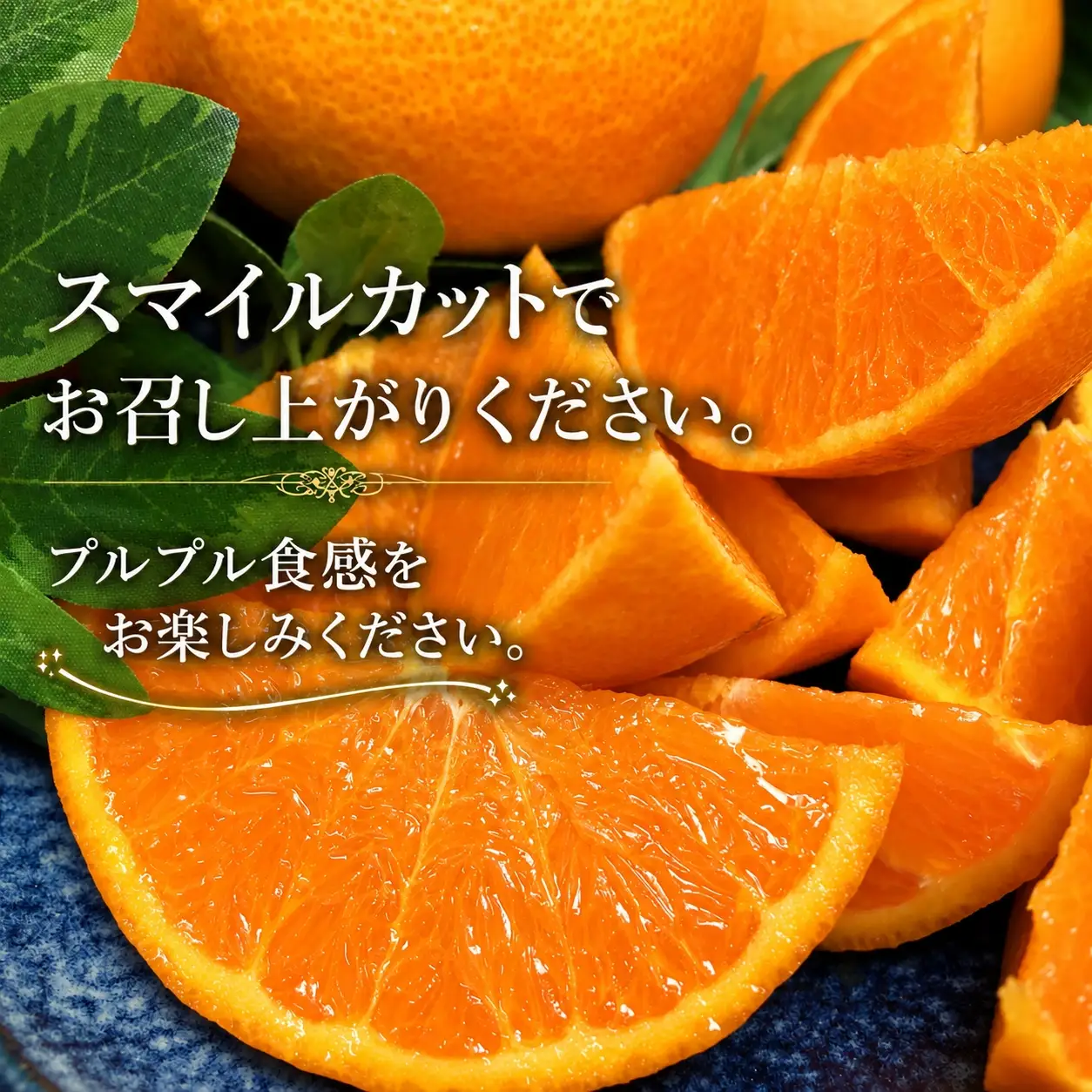 【先行受付】11月中旬発送開始　ぷるぷる食感!「 マドンナ 」約4.5キロ【 訳あり 】【39-97】YWTF072