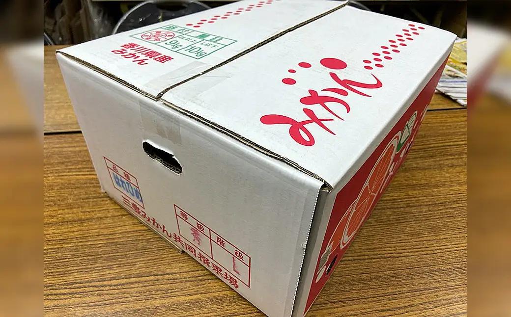 香川県産 はれひめ 約5㎏　2L-S_Z2600584