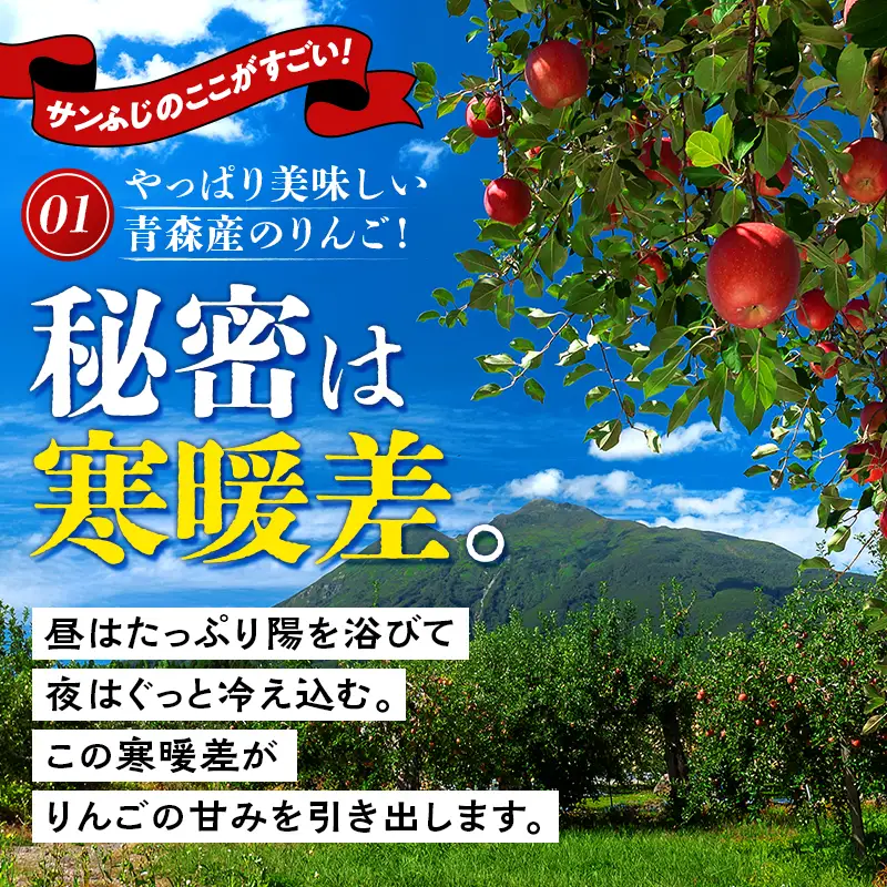 【2月配送】青森県南部町産 濃厚りんごサンふじ 約5kg 【アグリーデザイン】 F21U-726