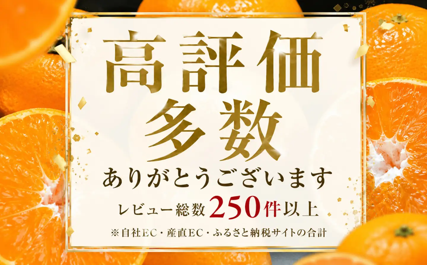 ＜深紅の一果 愛媛県産ブラッドオレンジ 合計約10kg＞『2027年2月中旬～4月上旬迄に順次出荷予定』 訳あり ミカン 蜜柑 ご家庭用 果汁 果物 くだもの フルーツ オレンジ 柑橘 人気柑橘 特産品 極尽道 愛媛県 西予市 【常温】OKS0024
