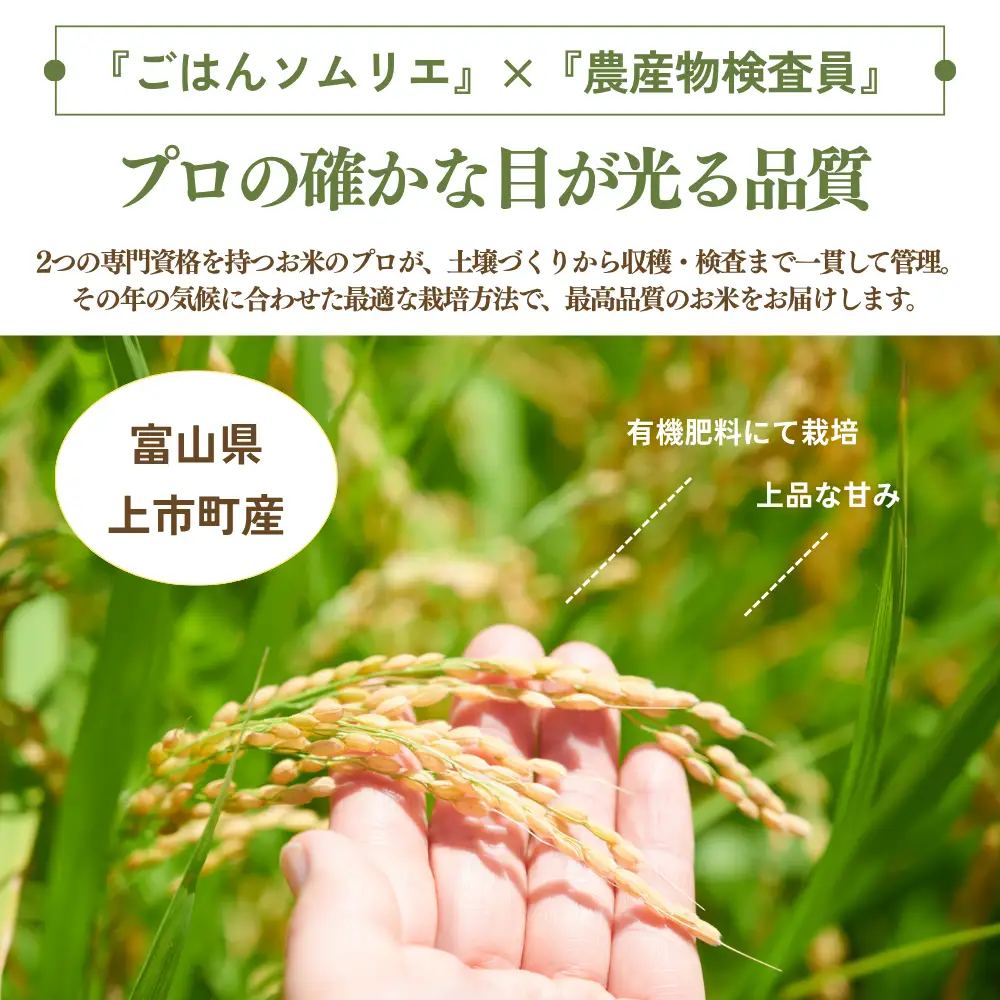 【食味検査Sランク】令和8年産 減農薬 上市町湯神子産コシヒカリ（白米）10kg 新米 10キロ こしひかり 白米 精米 おにぎり お弁当 減化学肥料 有機肥料 減農薬米 富山県産 富山県 上市町 湯神子 剱岳 雪解け水 富山米 北陸 国産 まとめ買い 大容量 家族 毎日 低温乾燥 樋口農園 ソムリエH ごはんソムリエ 環境にやさしい 贈り物 ギフト 産地直送 ごはん 米 お米 こめ おこめ コメ