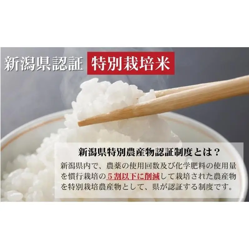 定期便 3回配送 令和8年産 新潟県上越市産 特別栽培米 新之助 5kg（5kg×3ヶ月） ご飯 おにぎり