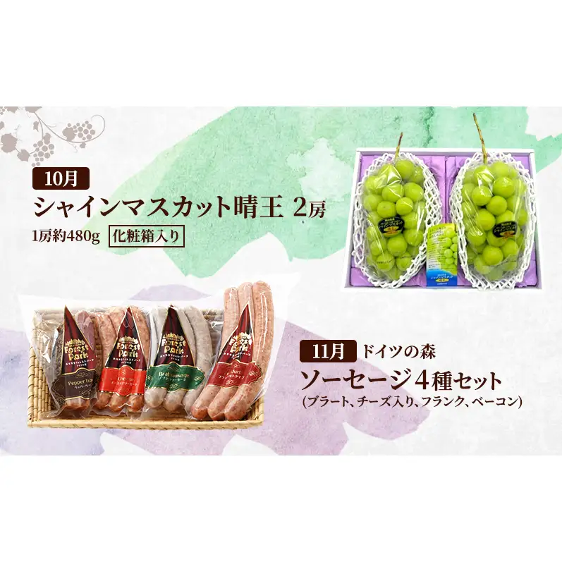 定期便 2027年 先行予約 ドイツの森の人気商品と岡山の人気果物 堪能 5回コース 桃 白桃 ビール ぶどう ピオーネ シャインマスカット ドイツの森 ソーセージ 赤磐市