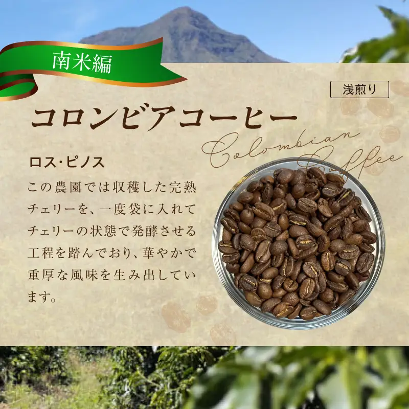 風味際立つ 手鍋焙煎コーヒー豆 ～南米編～ （粉） 100g×2袋 _SC0608