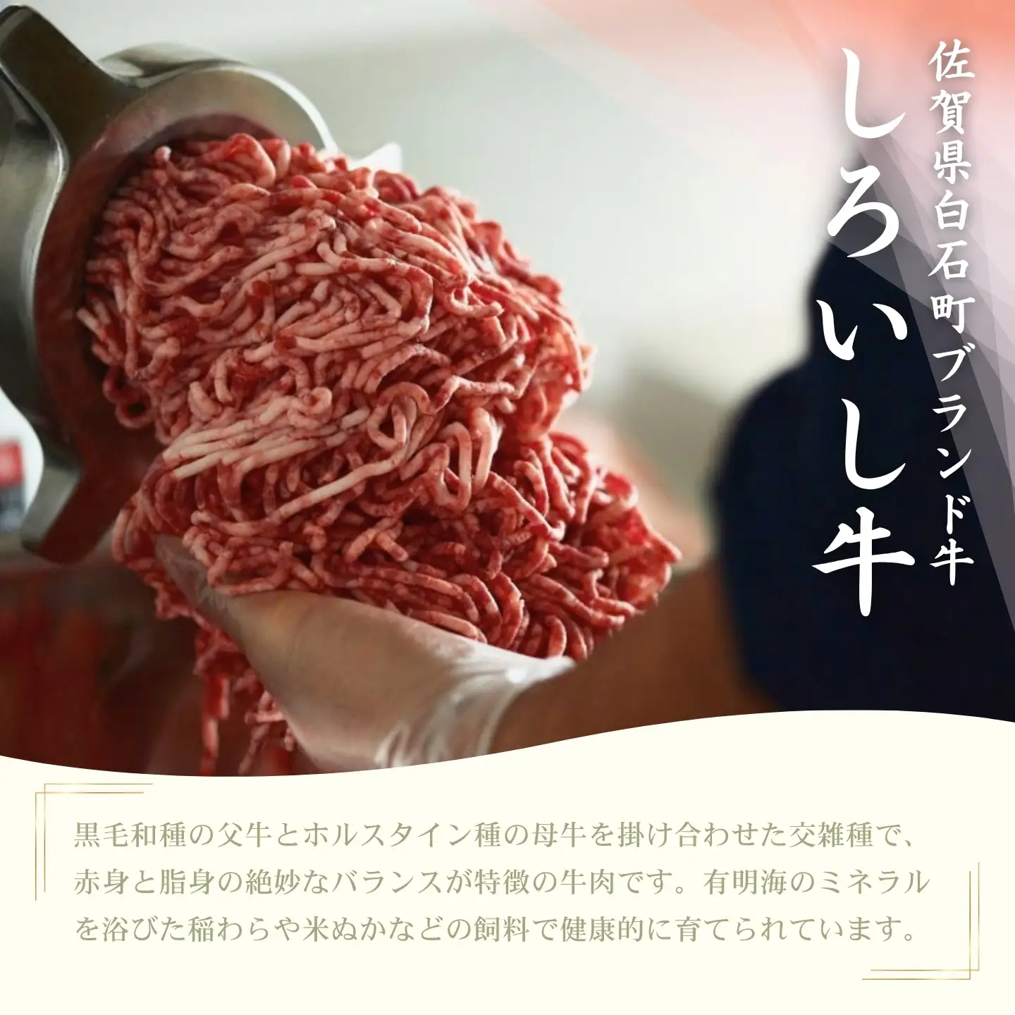 【牧場直送】佐賀産牛柔らかハンバーグ　4個：B100-085