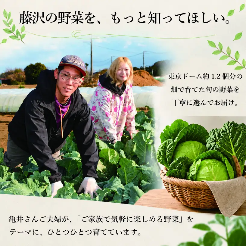 野菜セット 5～6人前 鍋 鍋野菜 10種類 