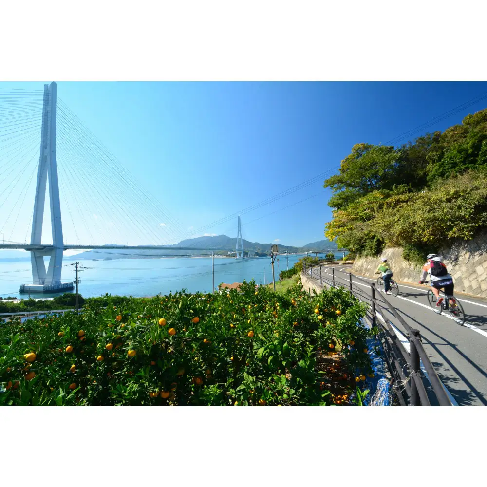 しまなみ海道レンタサイクルクーポン　3,000円分