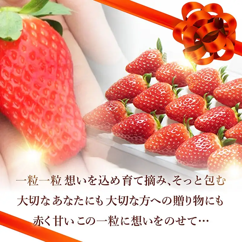 【限定100個】先行予約　京丹後産いちご堅しろう　400g以上（9～12粒）　いちご、イチゴ、あきひめ、章姫、京丹後、丹後、フルーツ、美食