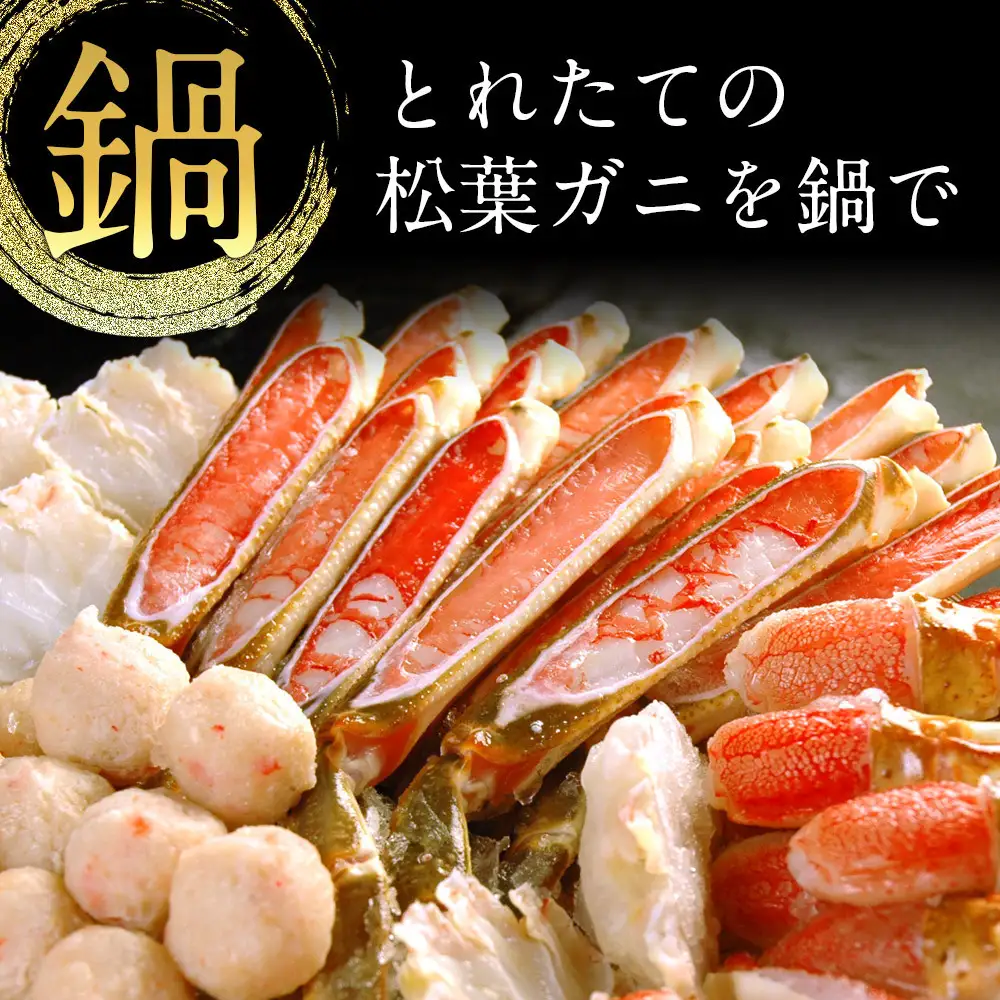 タグ付き 活生松葉蟹×1枚（950g前後）【鳥取県 境港市】