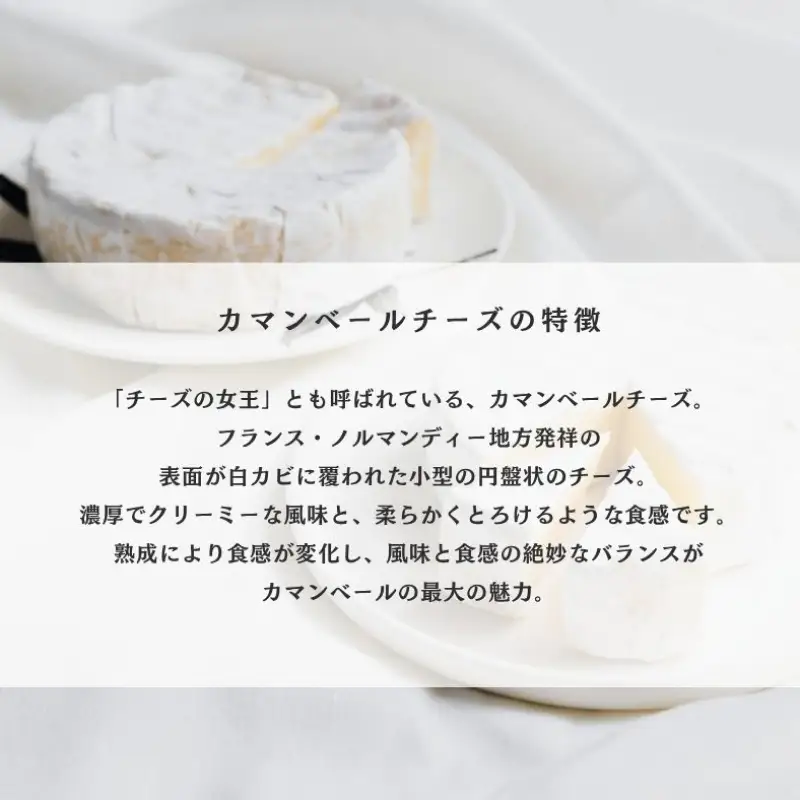 濃厚!!カマンベールニューヨークチーズケーキ５号 【214_0001】