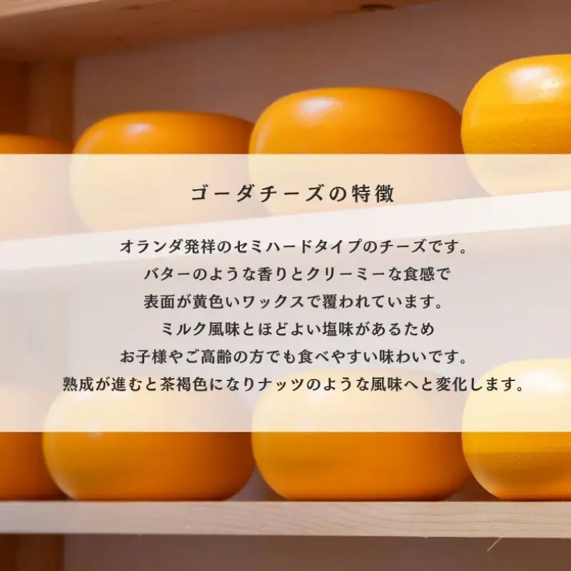 熟成ゴーダベイクドチーズケーキ５号 【214_0002】