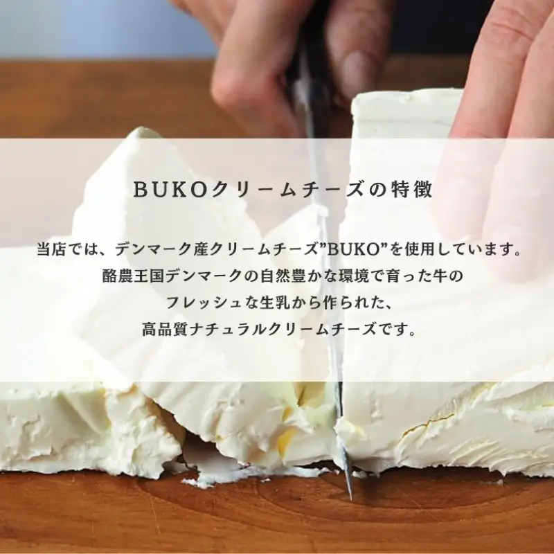 プレミアムバニラバスクチーズケーキ５号 【214_0004】