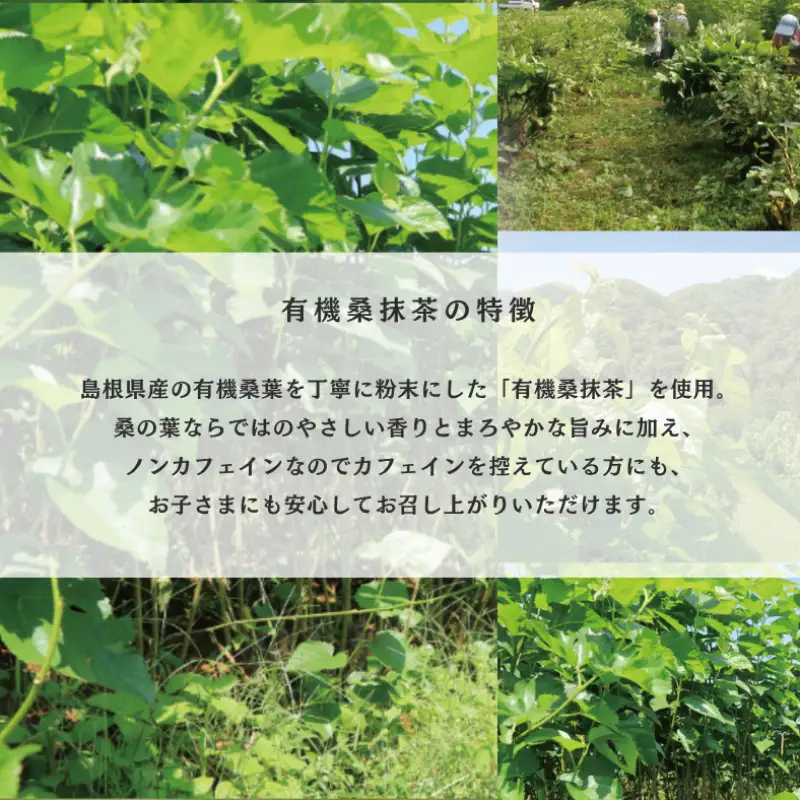 有機桑抹茶バスクチーズケーキ５号 【214_0005】