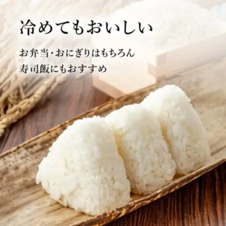 令和8年産 岐阜県産ハツシモ 精米 5kg　FTA286【1788716】