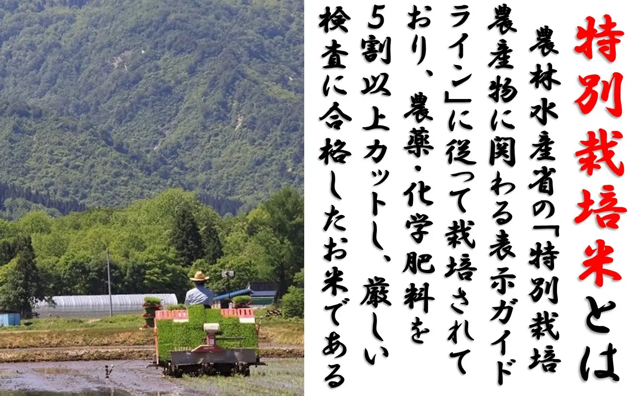 【6回定期便】山形県小国町産 つや姫2kg　計12kg　小国米穀商業協同組合