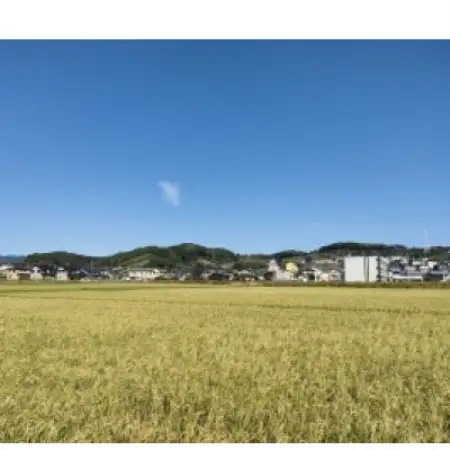 オーガニックビレッジ掛川　白米　5kg(品種:ミルキークイーン)【配送不可地域：離島・沖縄県】【1758843】