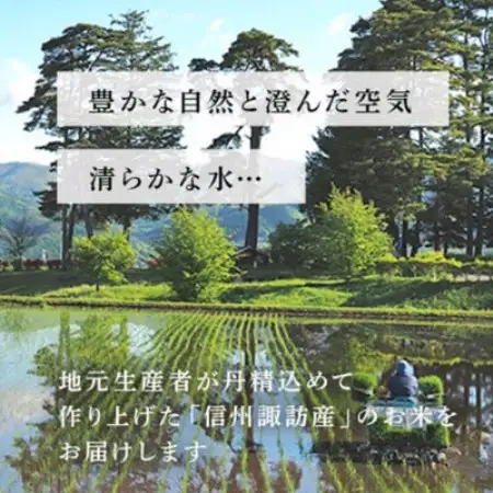 【毎月定期便】つきあかり　精米　5kg全3回【4094719】