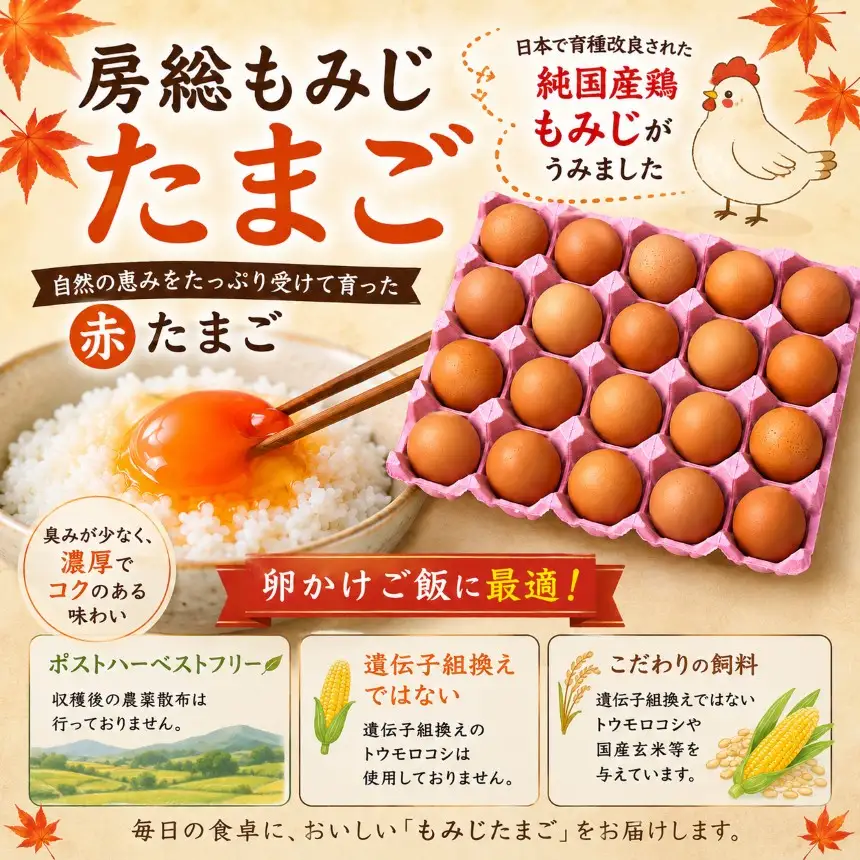 【定期便6回】 農場直送 房総もみじたまご Lサイズ20個  |三枝農場  赤卵 赤玉  君津市
