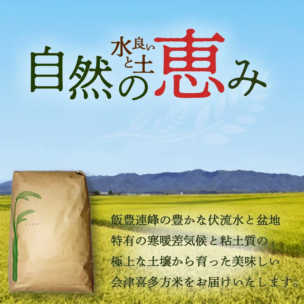 【5ヶ月定期便】令和8年産喜多方市産コシヒカリ白米　10kg×5回　【07208-1090】
