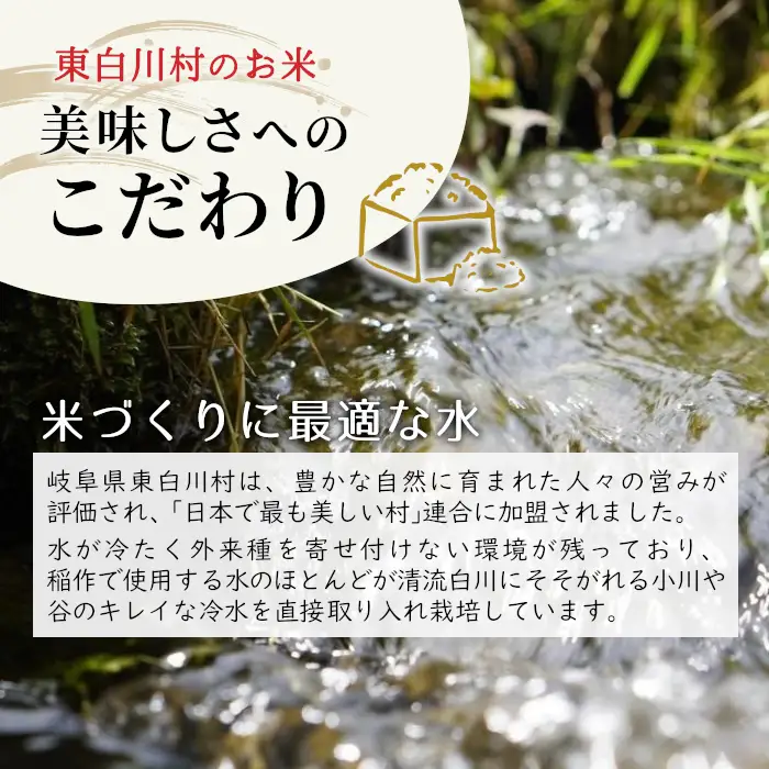 【令和8年産】新米 ミルキークイーン 約5kg 米 お米 白米 精米 ブランド米 東白川村産 田代ライス