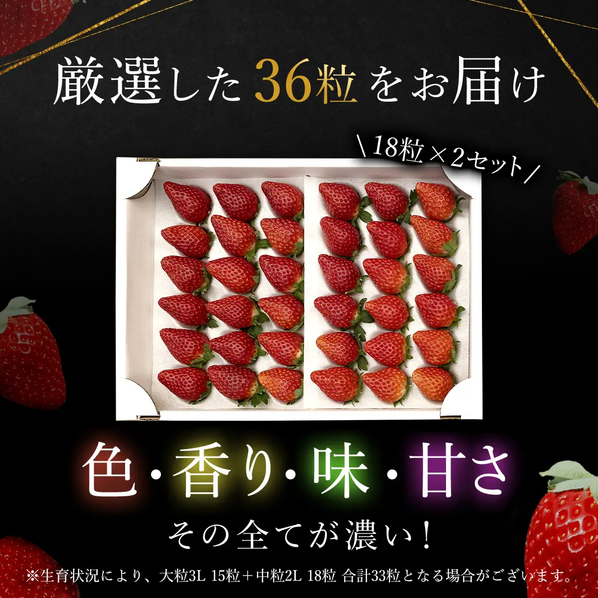 【先行予約】【2026年12月中旬より順次発送】希少品種 黒いちご 真紅の美鈴 2L36粒入り SMAN001