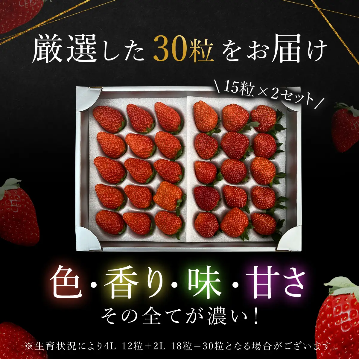 【先行予約】【2026年12月中旬より順次発送】希少品種 黒いちご 真紅の美鈴 3L30粒入り SMAN002