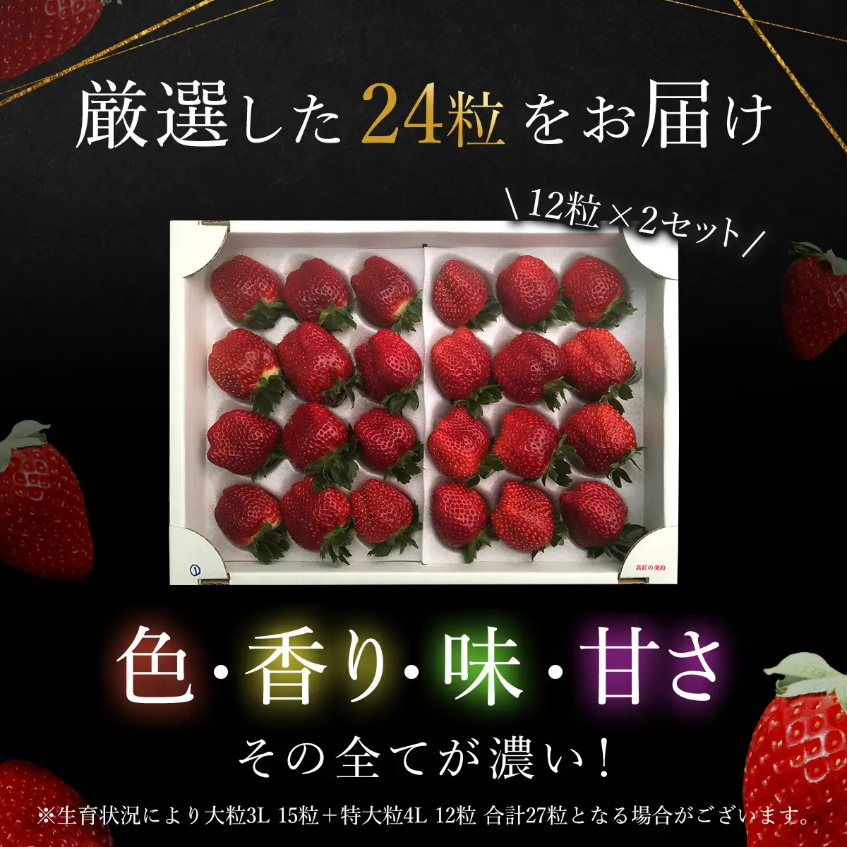 【先行予約】【2026年12月中旬より順次発送】希少品種 黒いちご 真紅の美鈴 4L24粒入り SMAN003