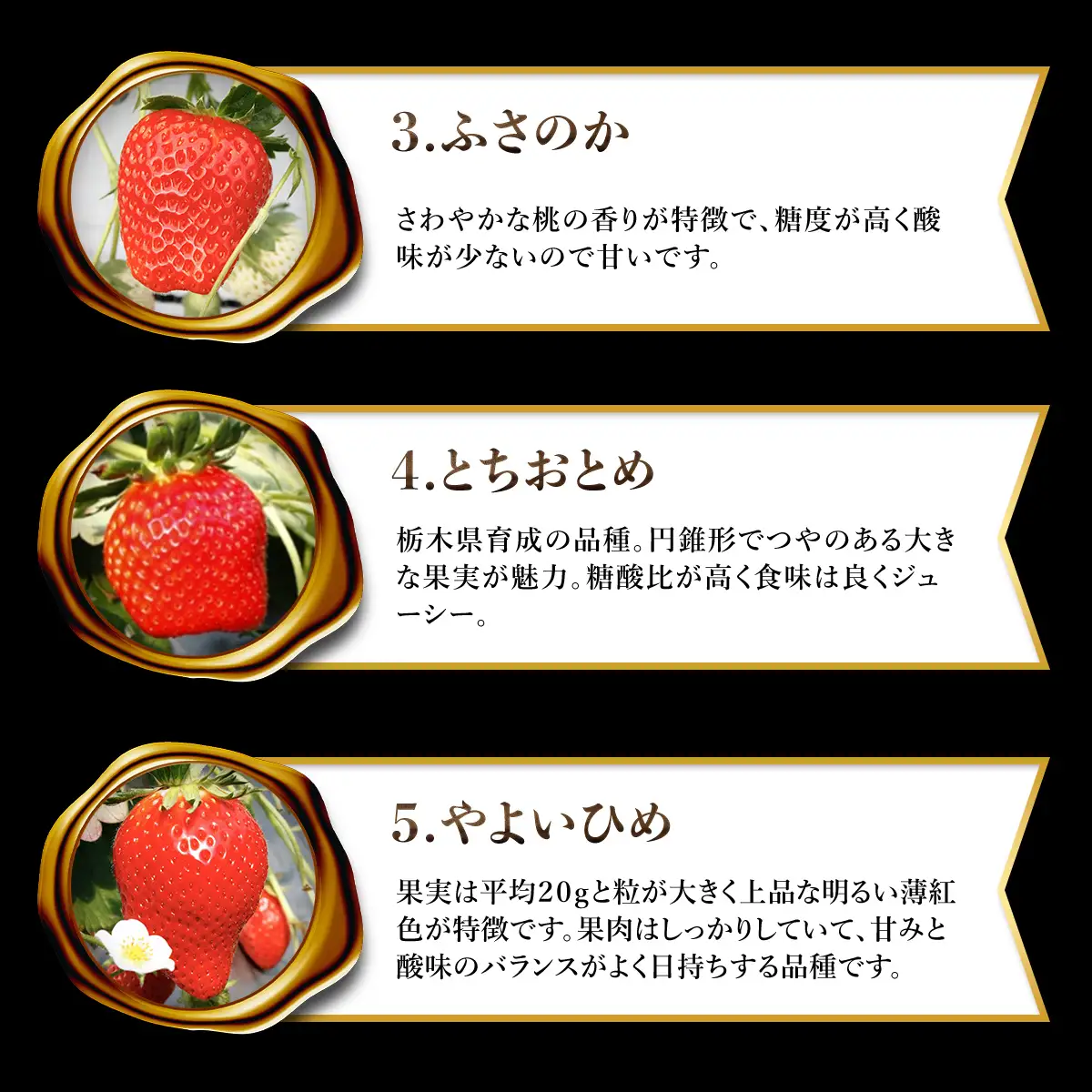 【先行予約】【2027年1月中旬より順次発送】いちご食べ比べセット（最大10品種の食べ比べ） SMAN004