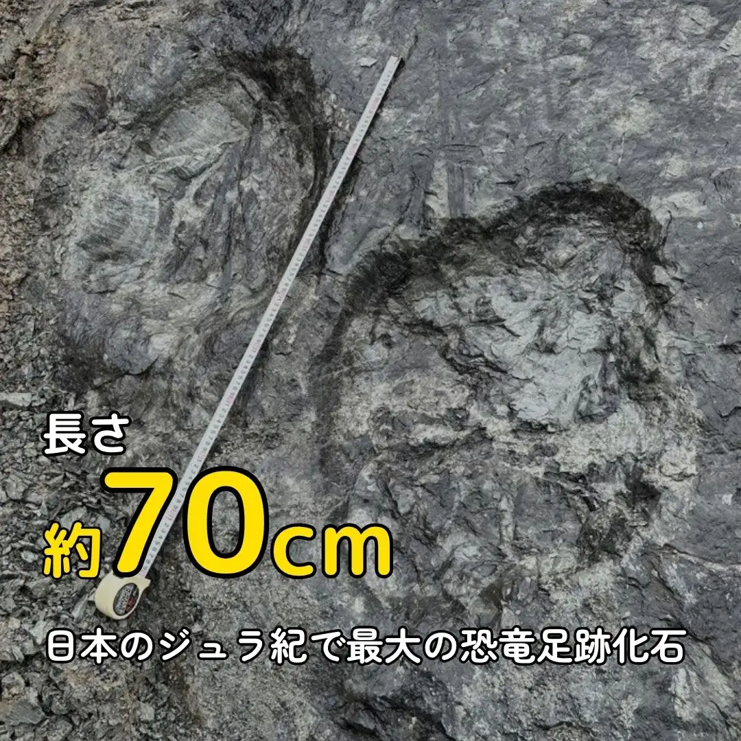 【返礼品なし】南相馬恐竜発掘プロジェクト応援寄付 3000円 | 恐竜 足跡 化石