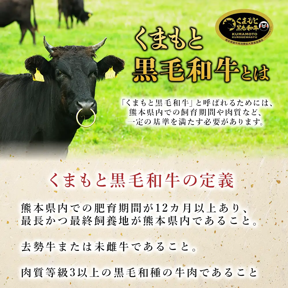 くまもと黒毛和牛 ハンバーグ 150g×6個 (計900g) 