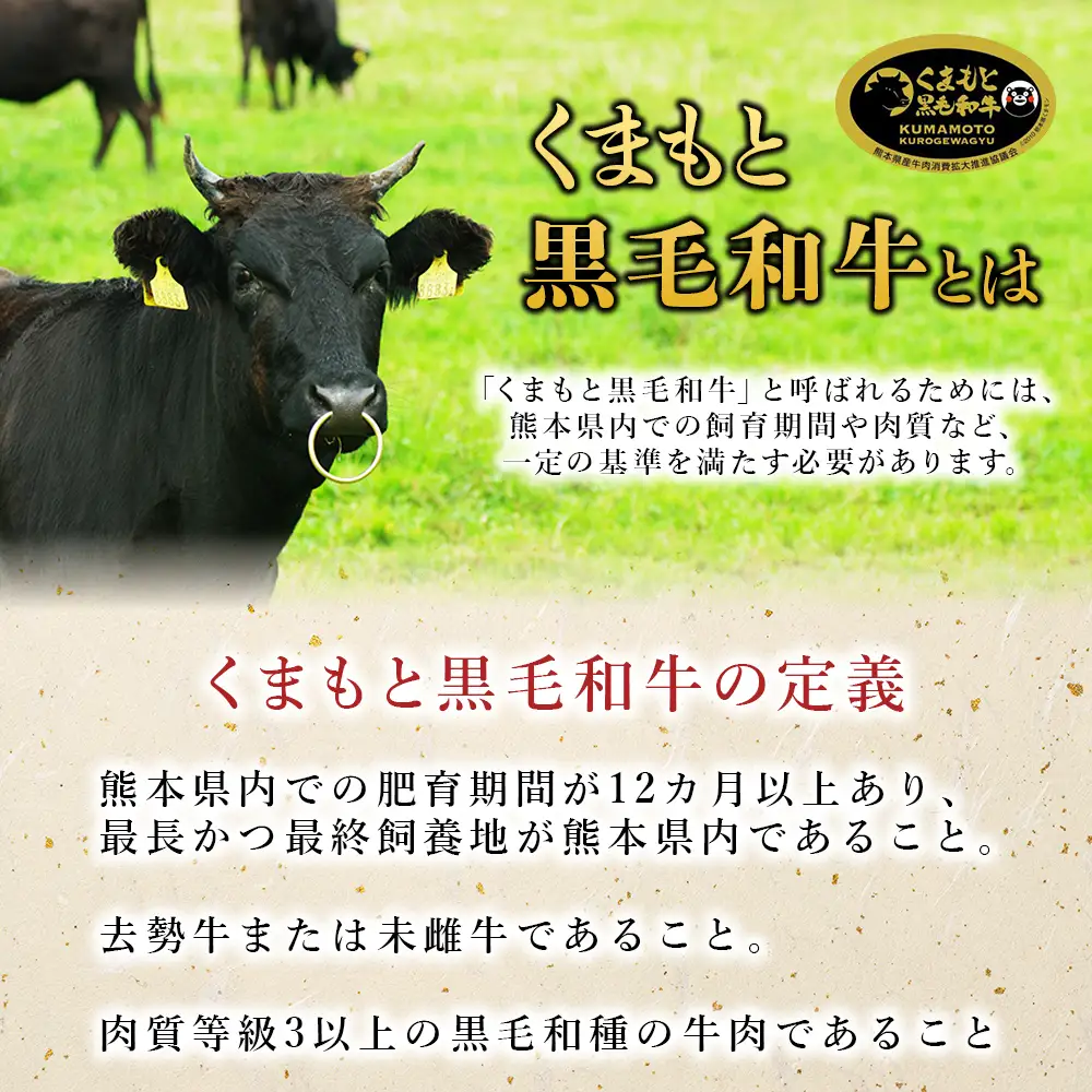 A4・A5 くまもと 黒毛和牛 サーロイン ステーキ 330g×2