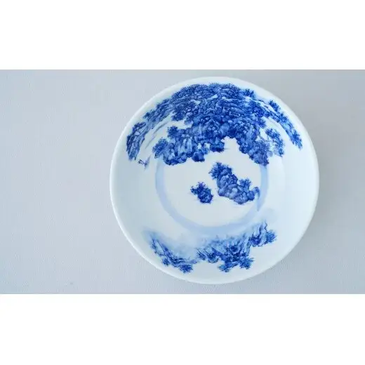 有田焼 山水絵 浅平鉢【起山窯】食器 器 うつわ 鉢 17センチ 手描き 染付 山水絵 ギフト プレゼント co020
