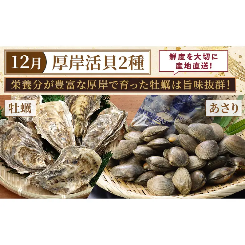 厚岸旬のふるさとセット 年4回お届け (毛蟹、しまえび、さんま、牡蠣、あさり 等)
