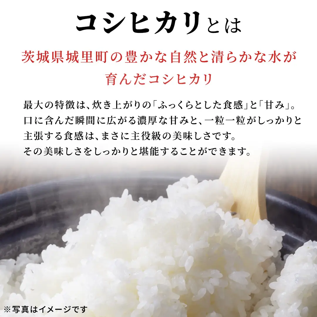 【12ヵ月 定期便】 コシヒカリ 5kg ×12回 令和8年産 [AX088]