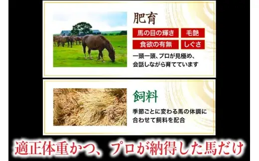 〈令和8年12月出荷〉肥後の桜馬刺し 上赤身 300g [B25-5102-12]