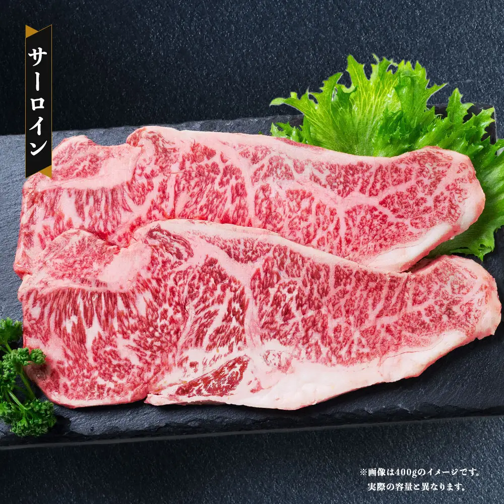 長崎和牛 ステーキ食べ比べセット サーロイン もも 2種 計約400g お肉 牛肉 肉 牛 精肉 赤身 おかず おつまみ 極上部位 贅沢 詰め合わせ 冷凍