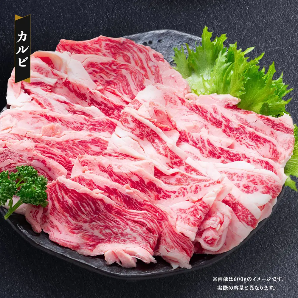 長崎和牛 焼き肉食べ比べセット もも カルビ 2種 計約600g お肉 牛肉 肉 牛 精肉 赤身 おかず おつまみ バーベキュー BBQ 人気部位 定番部位 贅沢 詰め合わせ 冷凍