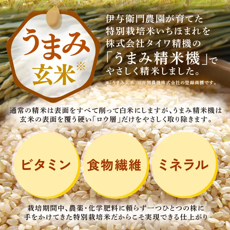 【令和8年産】特別栽培米 いちほまれ うまみ玄米 5kg 化学肥料不使用 ＜温度と湿度を常時管理し新鮮米を出荷！＞／ 高品質 鮮度抜群 福井県あわら産 ブランド米 お米 [aw071-b011]