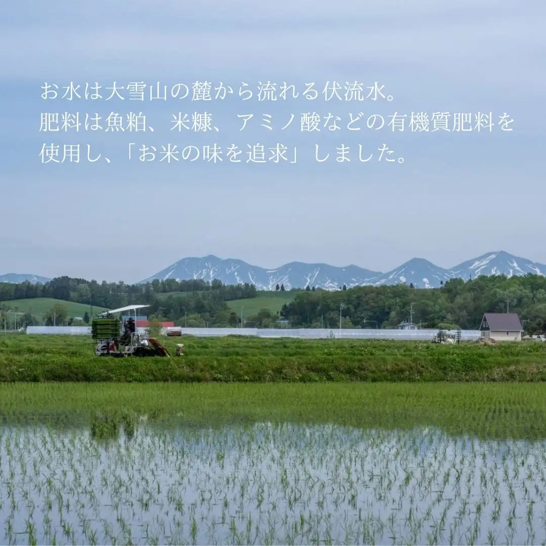 【6回定期便】 ゆめぴりか 5kg 定期便 豊栄米 北海道 精米 ゆめぴりか【令和8年産】
