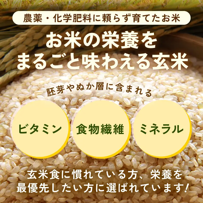 【令和8年産】特別栽培米 いちほまれ 玄米 5kg 化学肥料不使用 ＜温度と湿度を常時管理し新鮮米を出荷！＞／ 高品質 鮮度抜群 福井県あわら産 ブランド米 お米 [aw071-a017]